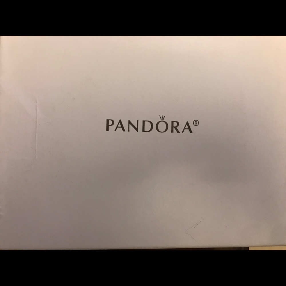 Pandora hand purse